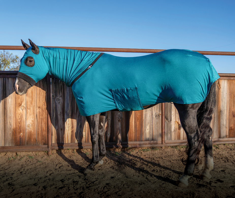 Slick and Show Ready